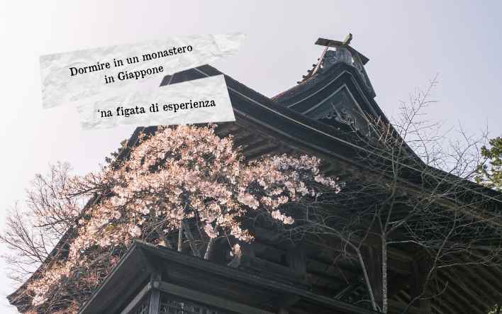 Foto Blog Copertina 708x443  4 